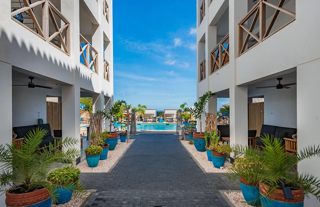 Bloozz Resort Bonaire-1